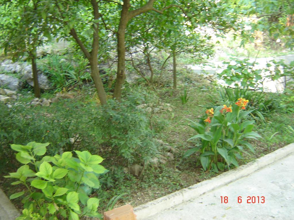 Apartments Dobrisa Kotor Ngoại thất bức ảnh